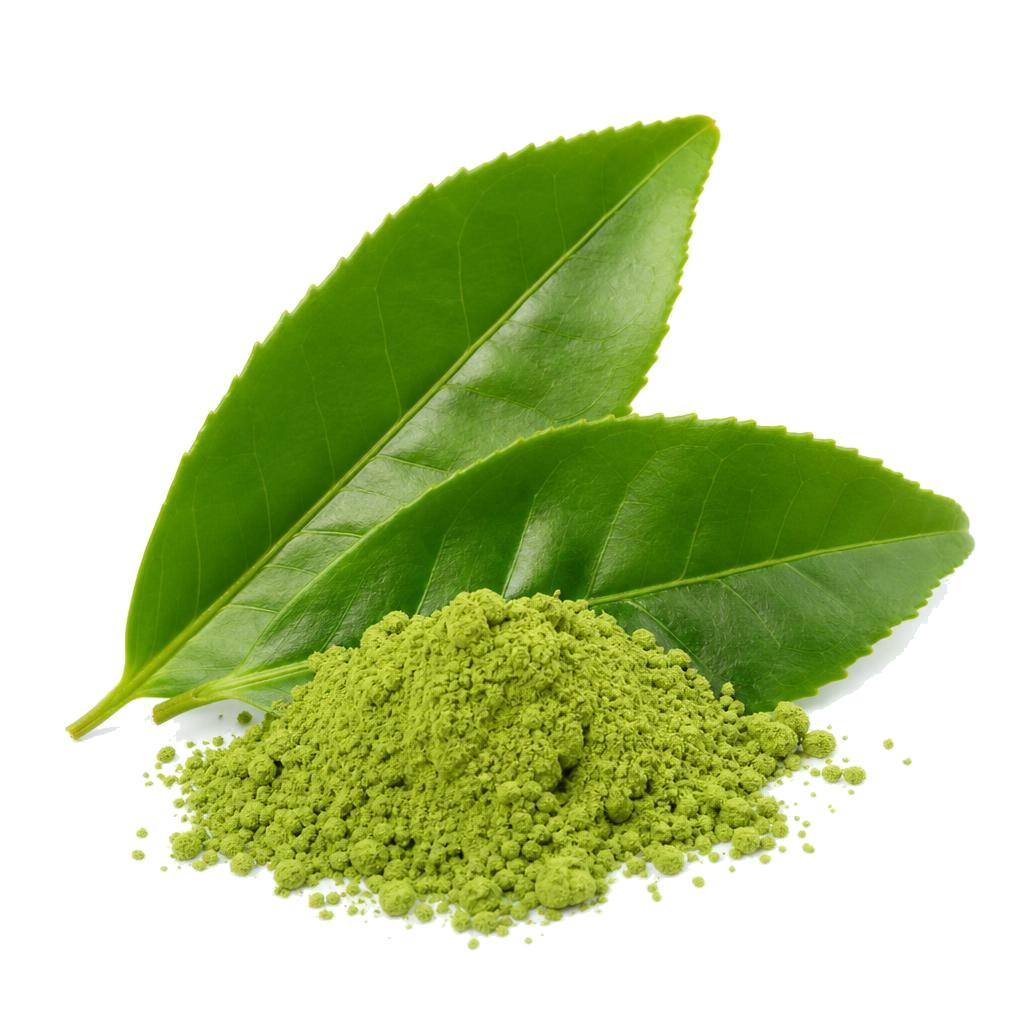Green tea extract
